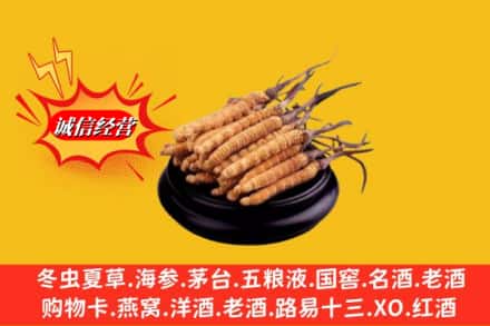 龙港市求购回收虫草多少钱每克